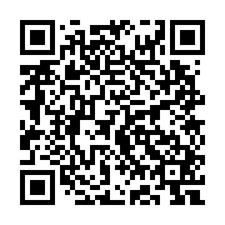 QR code for 3G 3741