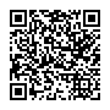 QR code for 3G 6333