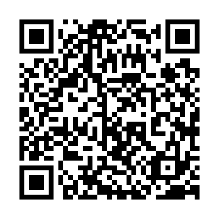 QR code for 3G 8733