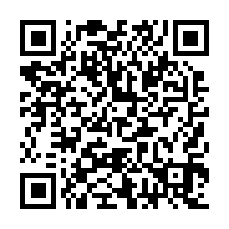 QR code for plate 3G 0211