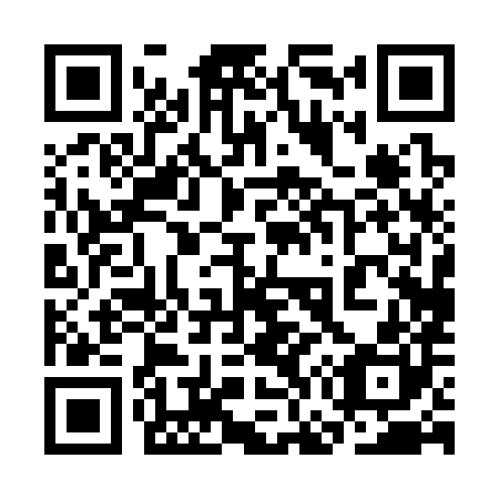 QR code for plate 3G 0380