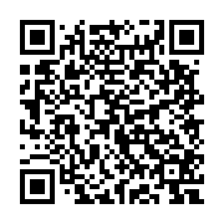 QR code for plate 3G 0504