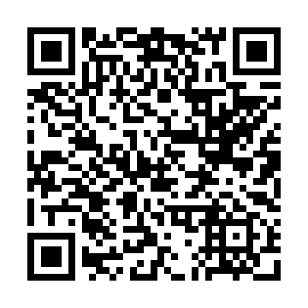 QR code for 3G0699