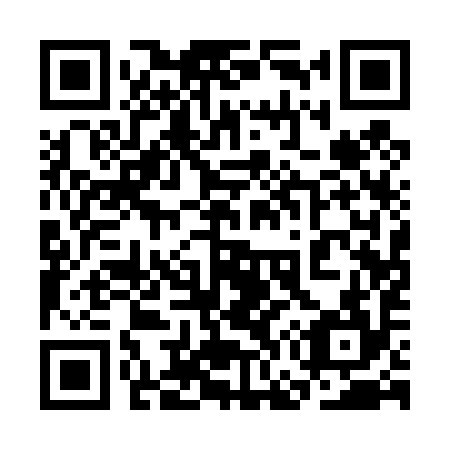 QR code for plate 3G 1494