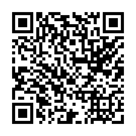 QR code for plate 3G 2868