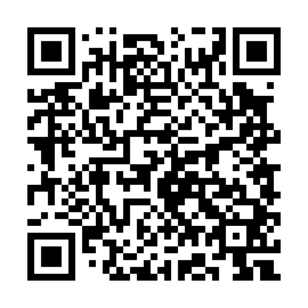 QR code for plate 3G 4040