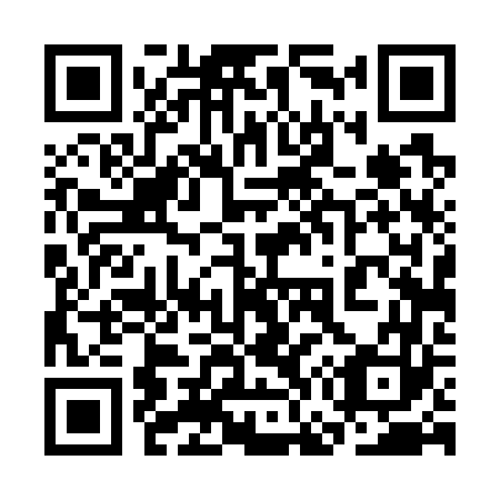 QR code for plate 3G 4763