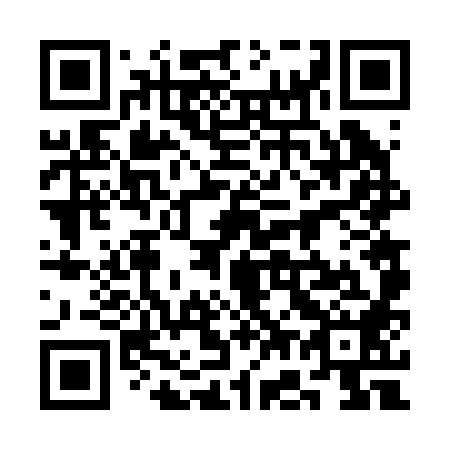 QR code for plate 3G 6288