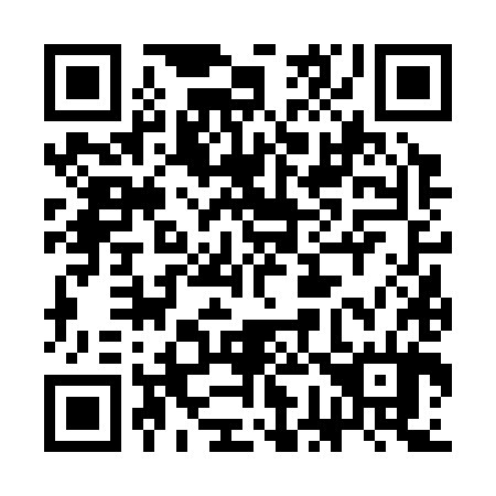 QR code for 3G6384
