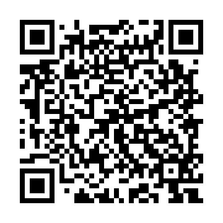 QR code for plate 3G 8196
