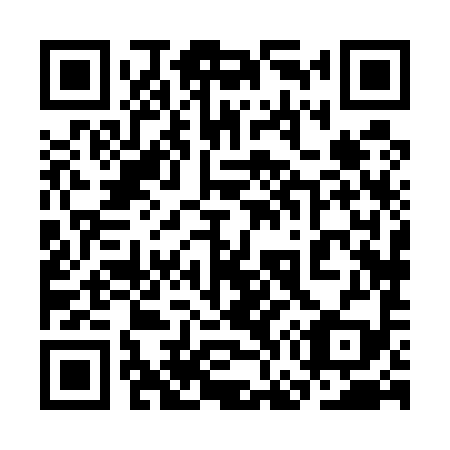 QR code for plate 3G 8599