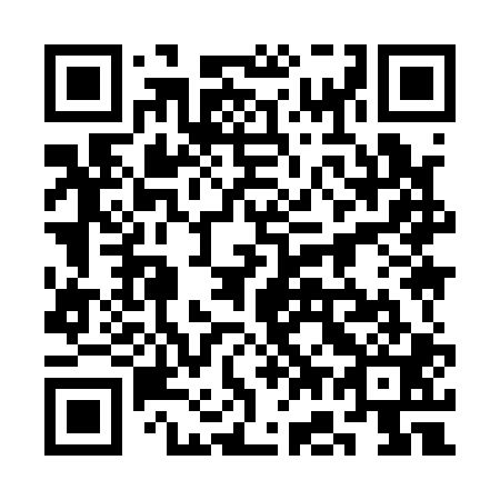 QR code for plate 3G 9101