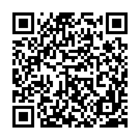 QR code for plate 3G 9396