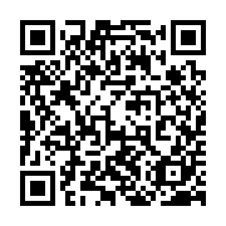 QR code for plate 3GS 300