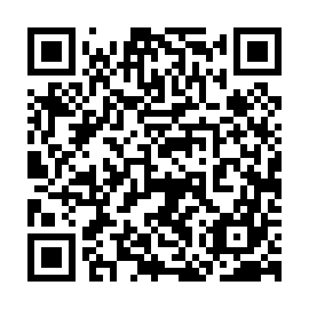 QR code for plate 3GT 067