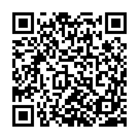 QR code for 3H 9163