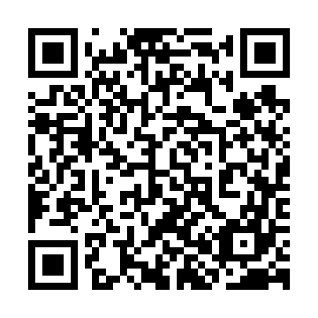 QR code for plate 3H 3667