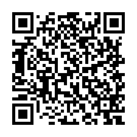 QR code for plate 3HG 999