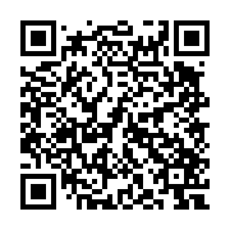QR code for plate 3HP 447