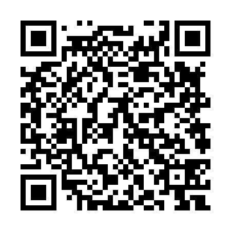 QR code for plate 3HV 838