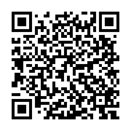 QR code for 3I 3509