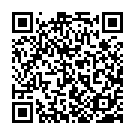 QR code for 3I 4911