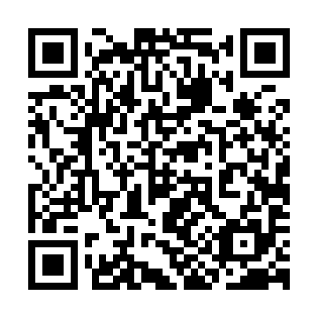 QR code for 3I 4995