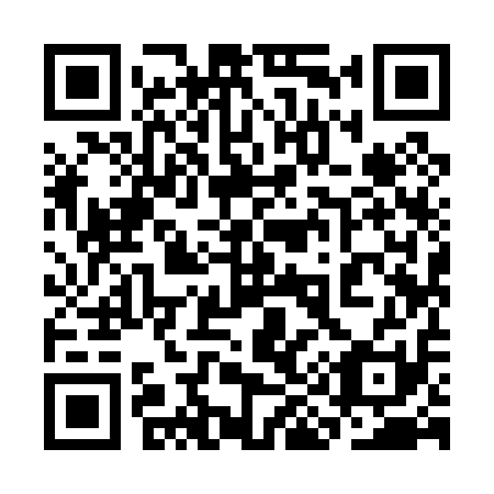 QR code for 3I 9011