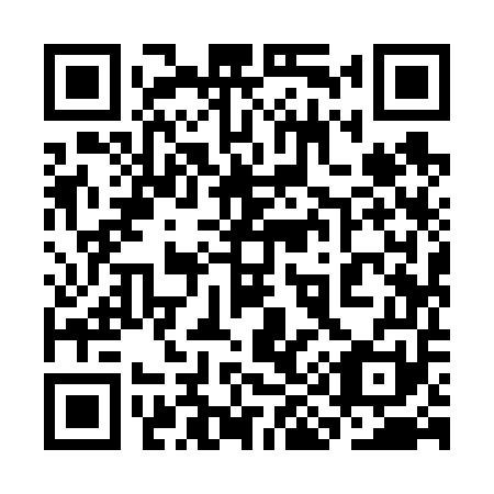 QR code for 3I 9651
