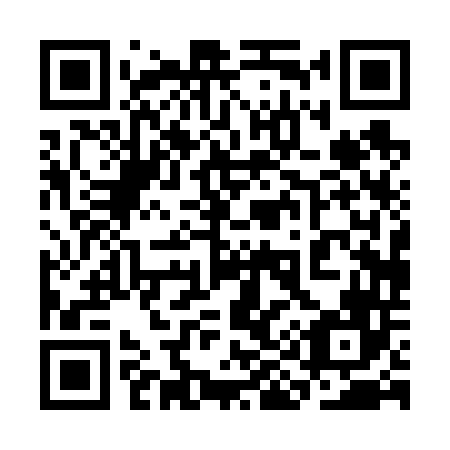 QR code for 3I0646