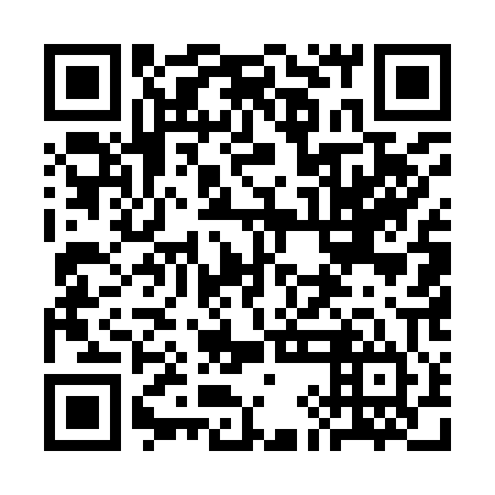 QR code for plate 3IE 904