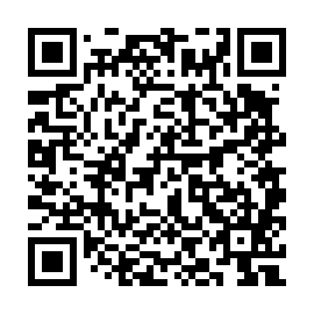 QR code for plate 3IF 485