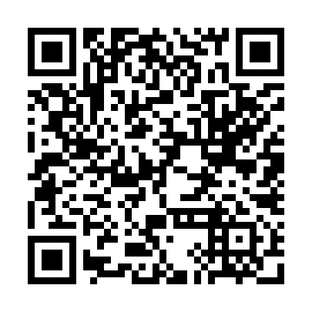 QR code for 3IG 991