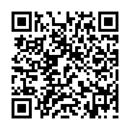 QR code for 3IN839