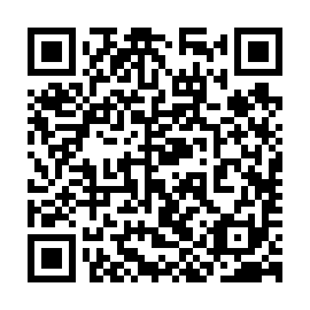 QR code for plate 3IR 691