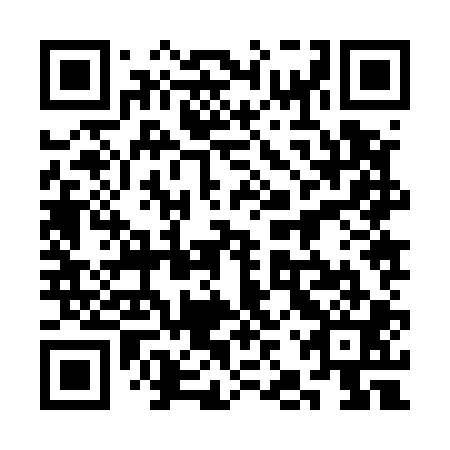 QR code for plate 3JZ 501