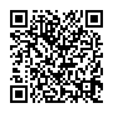 QR code for plate 3K 2919