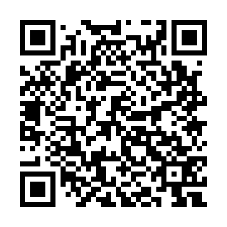 QR code for plate 3KA 173