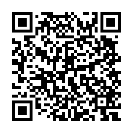 QR code for plate 3KR 449