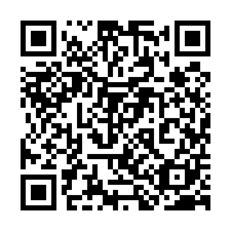 QR code for 3L 9501