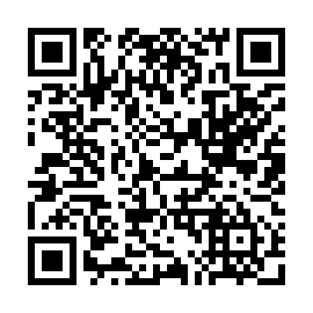 QR code for 3L 9955