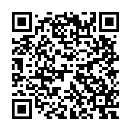 QR code for plate 3L 1517
