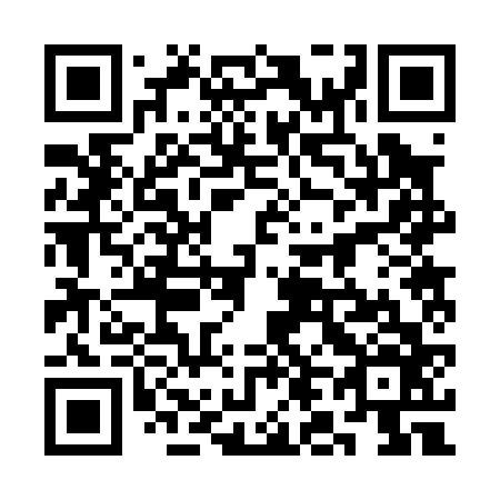QR code for plate 3L 2066