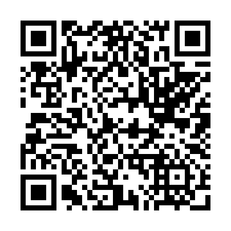 QR code for plate 3L 3696