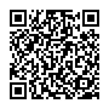 QR code for plate 3L 5228