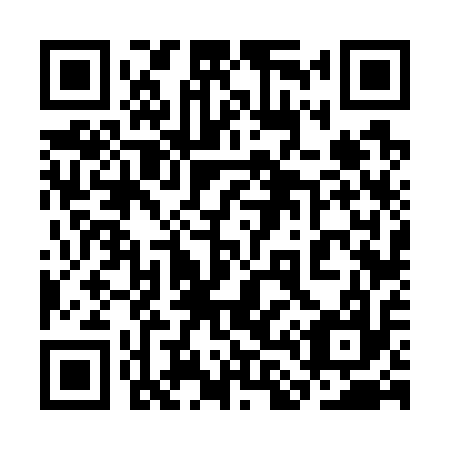QR code for plate 3L 6717