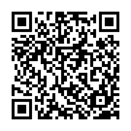 QR code for plate 3L 9294