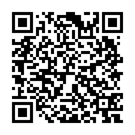 QR code for plate 3L 9670