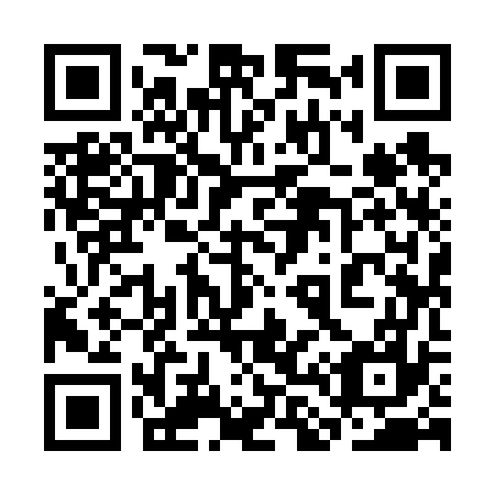QR code for plate 3L 9677