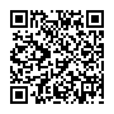 QR code for plate 3LN 393